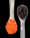 caviarspoonsx6